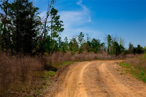 Stone Creek Phase II Tract 244