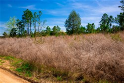 Stone Creek Phase II Tract 244