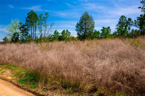 Stone Creek Phase II Tract 244