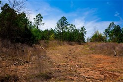Stone Creek Phase II Tract 244