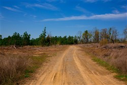 property photo for Stone Creek Phase II Tract 245, 19.23 acres for sale in Latimer County, Oklahoma