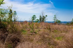 property photo for Stone Creek Phase II Tract 245, 19.23 acres for sale in Latimer County, Oklahoma