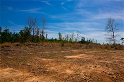 property photo for Stone Creek Phase II Tract 245, 19.23 acres for sale in Latimer County, Oklahoma
