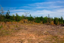 property photo for Stone Creek Phase II Tract 245, 19.23 acres for sale in Latimer County, Oklahoma