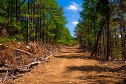 property photo for Stone Creek Phase II Tract 246, 27 acres for sale in Latimer County, Oklahoma