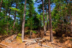 property photo for Stone Creek Phase II Tract 246, 27 acres for sale in Latimer County, Oklahoma