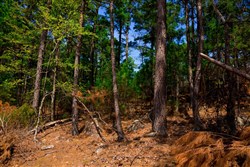 property photo for Stone Creek Phase II Tract 246, 27 acres for sale in Latimer County, Oklahoma