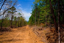 property photo for Stone Creek Phase II Tract 246, 27 acres for sale in Latimer County, Oklahoma