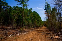 property photo for Stone Creek Phase II Tract 247, 19.71 acres for sale in Latimer County, Oklahoma