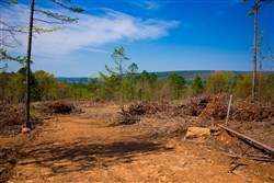 property photo for Stone Creek Phase II Tract 247, 19.71 acres for sale in Latimer County, Oklahoma