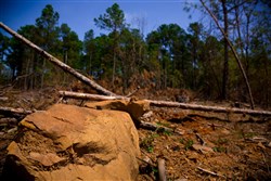 property photo for Stone Creek Phase II Tract 247, 19.71 acres for sale in Latimer County, Oklahoma
