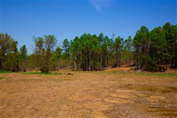 property photo for Stone Creek Phase II Tract 247, 19.71 acres for sale in Latimer County, Oklahoma