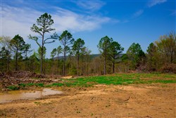 property photo for Stone Creek Phase II Tract 247, 19.71 acres for sale in Latimer County, Oklahoma