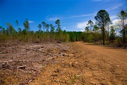property photo for Stone Creek Phase II Tract 248, 16.74 acres for sale in Latimer County, Oklahoma