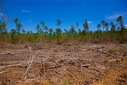 property photo for Stone Creek Phase II Tract 248, 16.74 acres for sale in Latimer County, Oklahoma