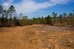 property photo for Stone Creek Phase II Tract 248, 16.74 acres for sale in Latimer County, Oklahoma