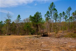property photo for Stone Creek Phase II Tract 248, 16.74 acres for sale in Latimer County, Oklahoma
