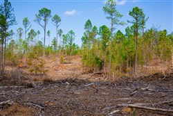 property photo for Stone Creek Phase II Tract 248, 16.74 acres for sale in Latimer County, Oklahoma