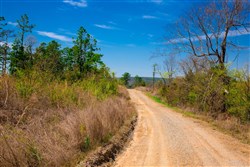 property photo for Stone Creek Phase II Tract 249, 19.08 acres for sale in Latimer County, Oklahoma