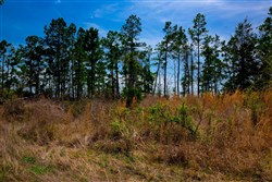 property photo for Stone Creek Phase II Tract 249, 19.08 acres for sale in Latimer County, Oklahoma