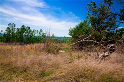property photo for Stone Creek Phase II Tract 249, 19.08 acres for sale in Latimer County, Oklahoma
