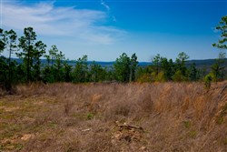 property photo for Stone Creek Phase II Tract 249, 19.08 acres for sale in Latimer County, Oklahoma