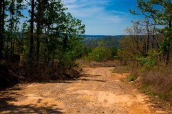 property photo for Stone Creek Phase II Tract 250, 22.23 acres for sale in Latimer County, Oklahoma