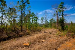 property photo for Stone Creek Phase II Tract 250, 22.23 acres for sale in Latimer County, Oklahoma
