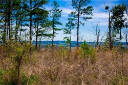 property photo for Stone Creek Phase II Tract 250, 22.23 acres for sale in Latimer County, Oklahoma