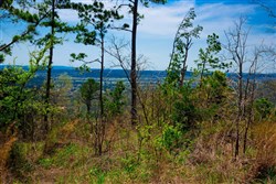 property photo for Stone Creek Phase II Tract 250, 22.23 acres for sale in Latimer County, Oklahoma