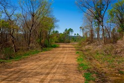 property photo for Stone Creek Phase II Tract 252, 14.74 acres for sale in Latimer County, Oklahoma