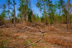 property photo for Stone Creek Phase II Tract 252, 14.74 acres for sale in Latimer County, Oklahoma
