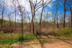 property photo for Stone Creek Phase II Tract 252, 14.74 acres for sale in Latimer County, Oklahoma