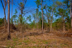 property photo for Stone Creek Phase II Tract 252, 14.74 acres for sale in Latimer County, Oklahoma