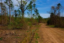 property photo for Stone Creek Phase II Tract 252, 14.74 acres for sale in Latimer County, Oklahoma