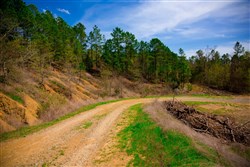 property photo for Stone Creek Phase II Tract 253, 4.81 acres for sale in Latimer County, Oklahoma