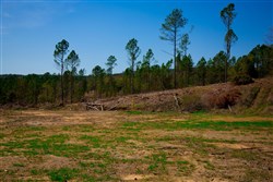 property photo for Stone Creek Phase II Tract 253, 4.81 acres for sale in Latimer County, Oklahoma