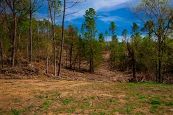 property photo for Stone Creek Phase II Tract 253, 4.81 acres for sale in Latimer County, Oklahoma