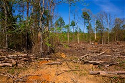 property photo for Stone Creek Phase II Tract 254, 5.63 acres for sale in Latimer County, Oklahoma
