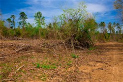 property photo for Stone Creek Phase II Tract 254, 5.63 acres for sale in Latimer County, Oklahoma