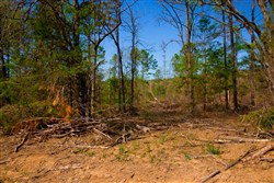 property photo for Stone Creek Phase II Tract 254, 5.63 acres for sale in Latimer County, Oklahoma