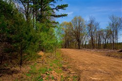 property photo for Stone Creek Phase II Tract 254, 5.63 acres for sale in Latimer County, Oklahoma
