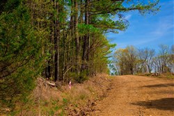 property photo for Stone Creek Phase II Tract 255, 4.85 acres for sale in Latimer County, Oklahoma