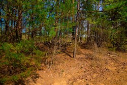 property photo for Stone Creek Phase II Tract 255, 4.85 acres for sale in Latimer County, Oklahoma