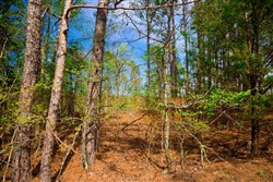 property photo for Stone Creek Phase II Tract 255, 4.85 acres for sale in Latimer County, Oklahoma