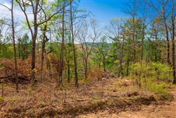 property photo for Stone Creek Phase II Tract 255, 4.85 acres for sale in Latimer County, Oklahoma