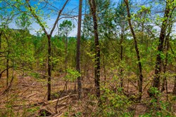 property photo for Stone Creek Phase II Tract 256, 5.85 acres for sale in Latimer County, Oklahoma