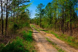 property photo for Stone Creek Phase II Tract 256, 5.85 acres for sale in Latimer County, Oklahoma