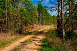 property photo for Stone Creek Phase II Tract 256, 5.85 acres for sale in Latimer County, Oklahoma