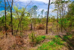 property photo for Stone Creek Phase II Tract 256, 5.85 acres for sale in Latimer County, Oklahoma